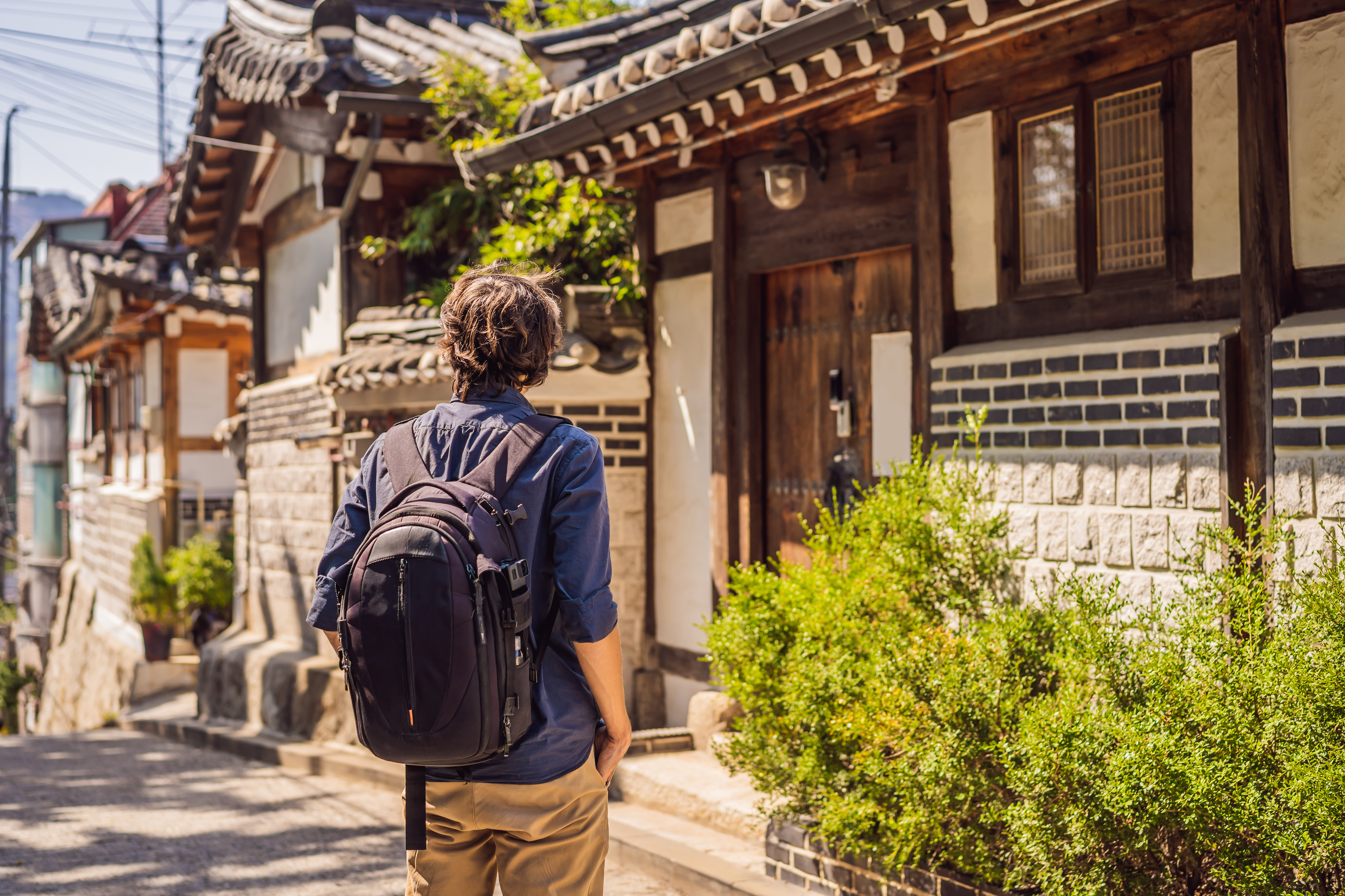 Équipe Professionnelle