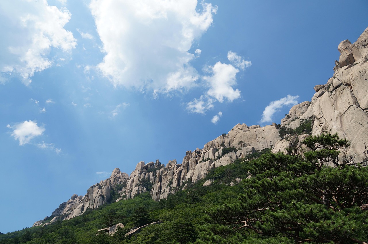 Mountains, Temples & City Lights