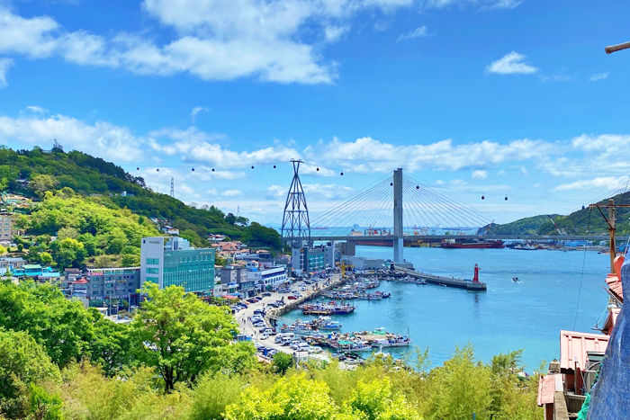 Korean Culture & Food